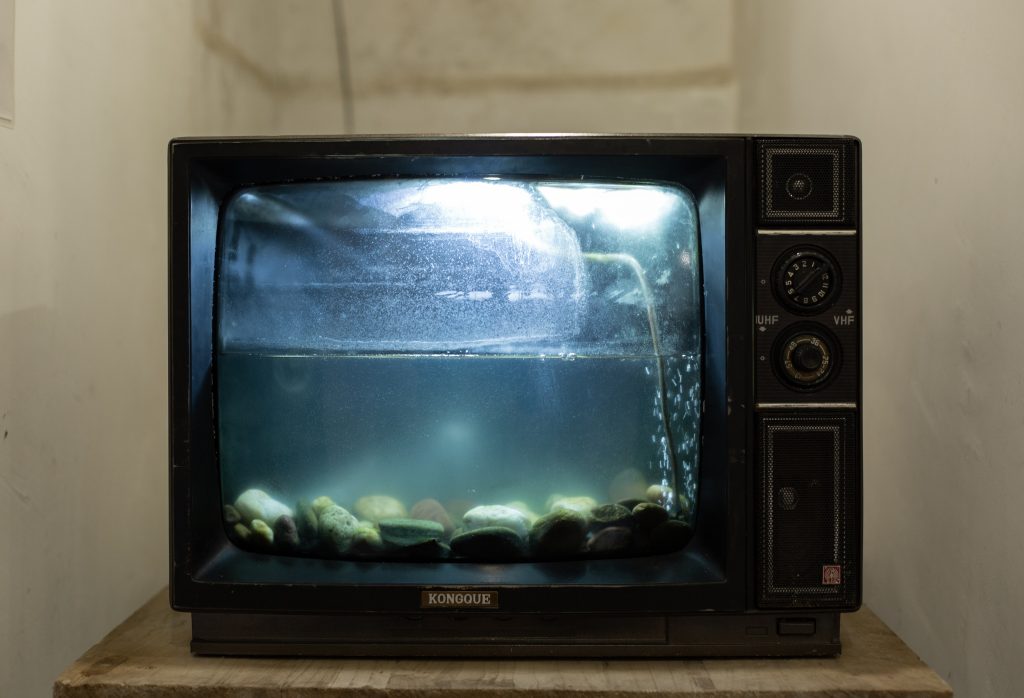 TV aquarium