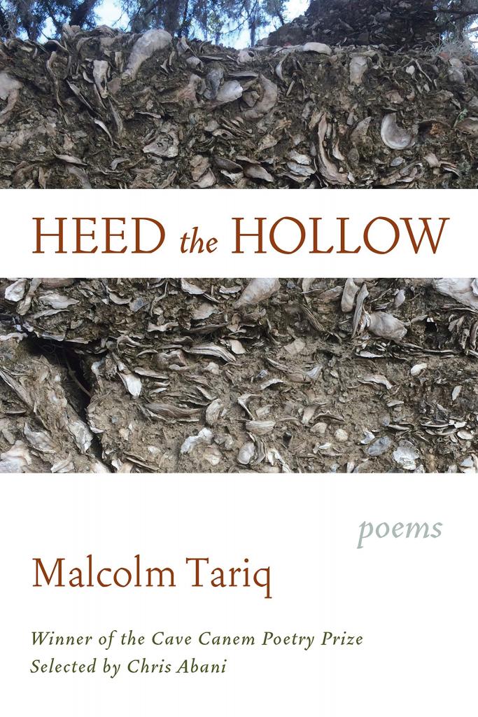 Heed the Hollow by Malcolm Tariq
