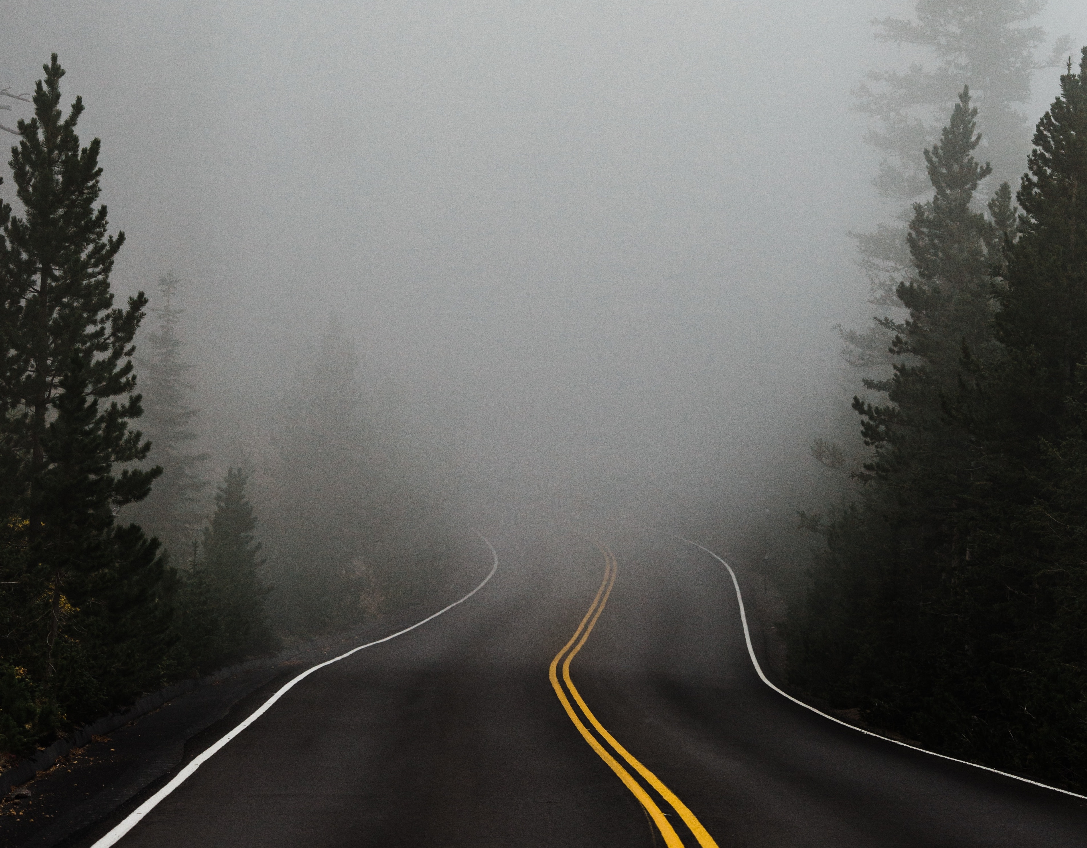 Road vanishing into fog