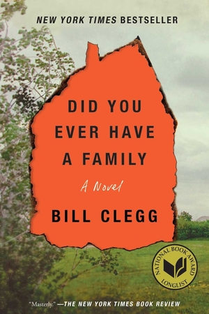Image result for did you ever have a family by bill clegg