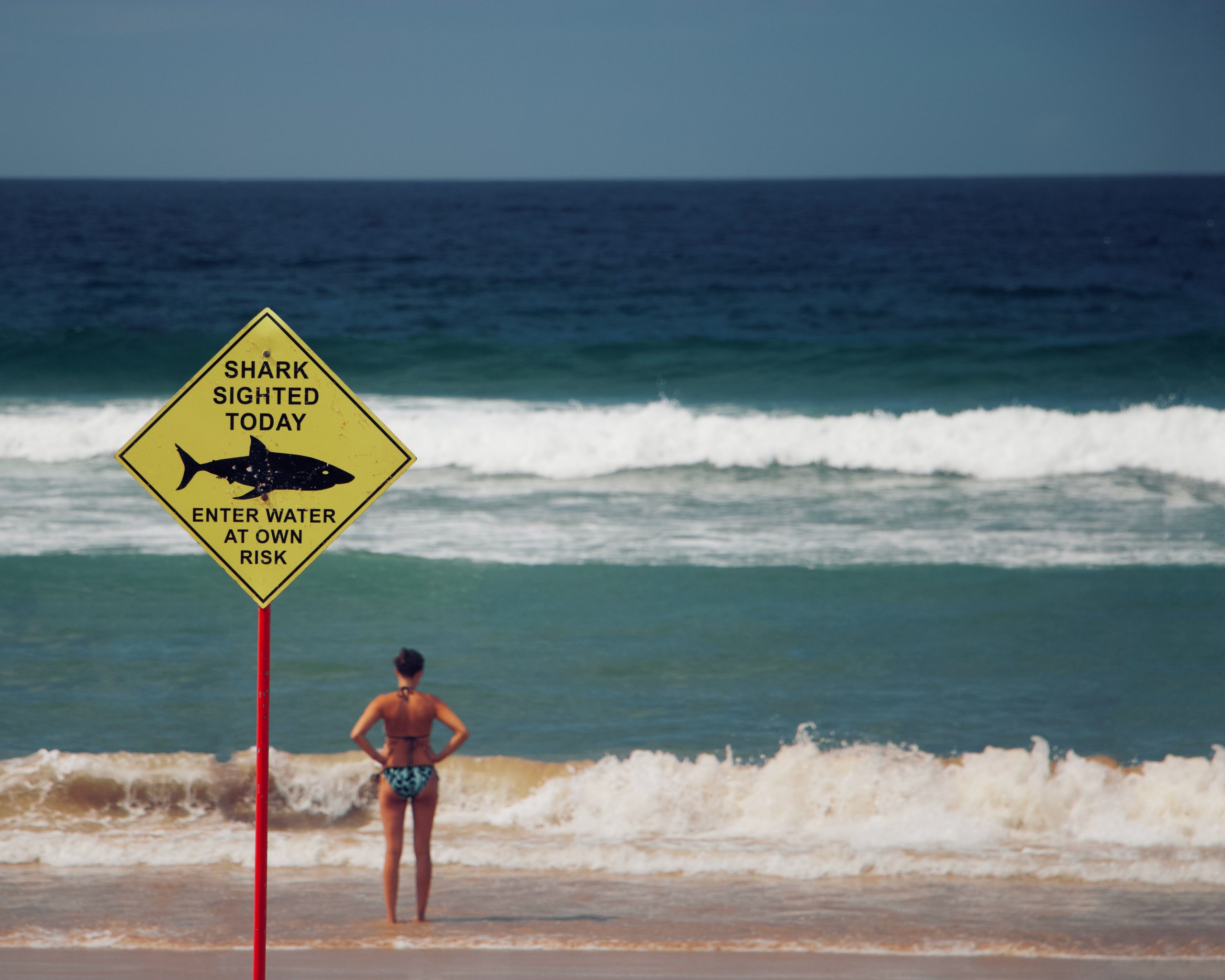 Woman standing on beach with shark warning sign