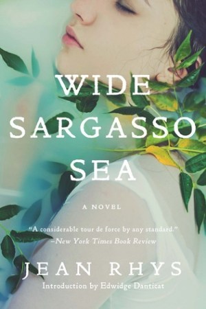 Image result for wide sargasso sea book