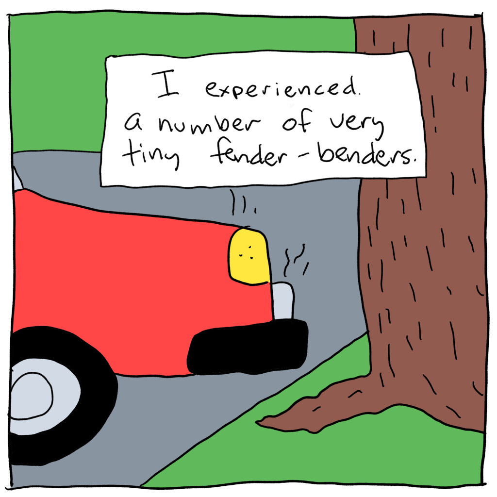  I experienced a number of very tiny fender-benders.