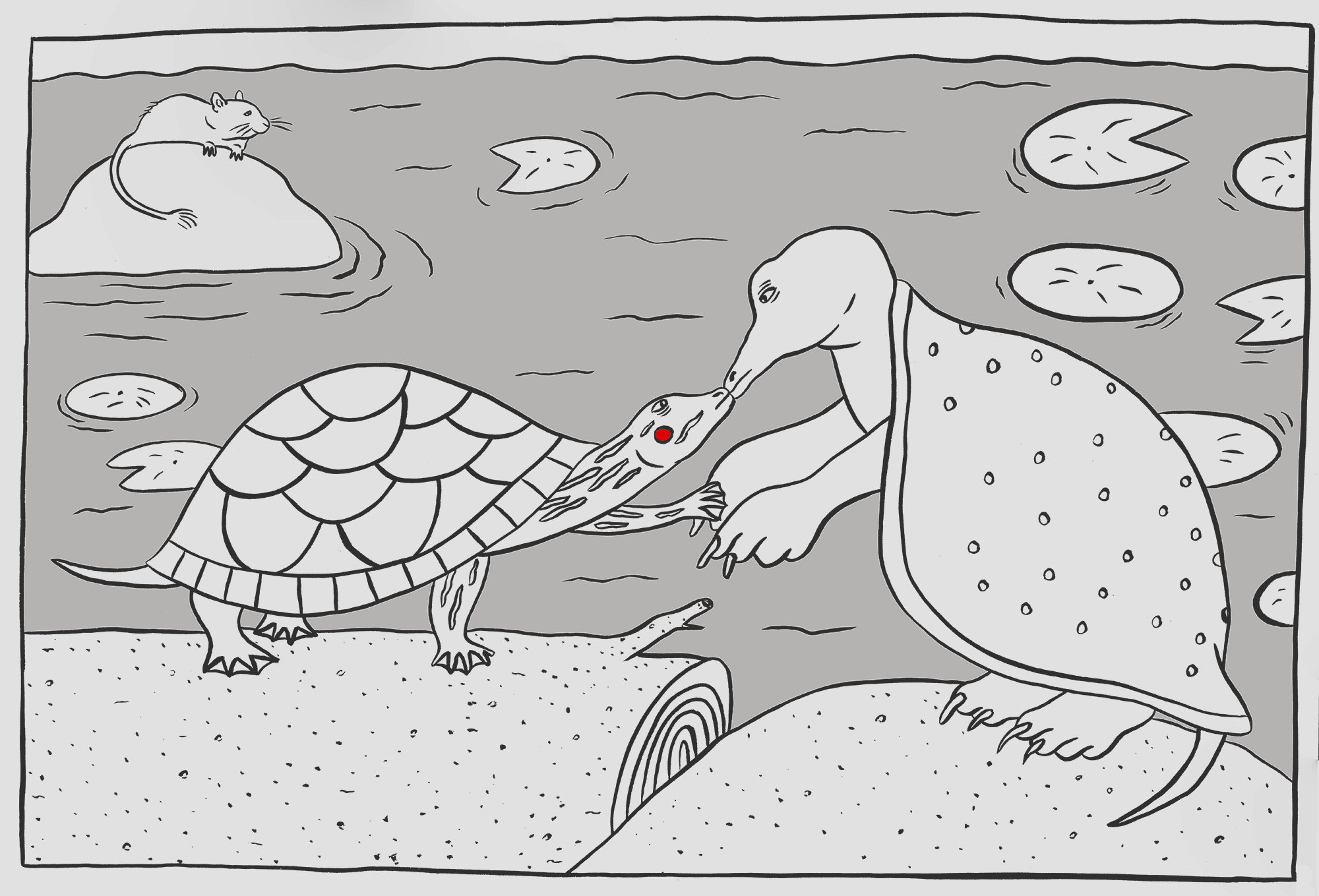 awkward turtle drawing