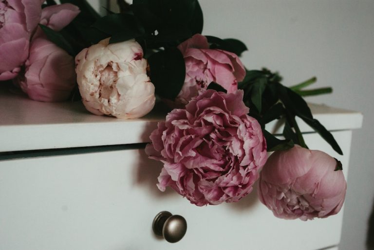 Peonies on a white cabinet