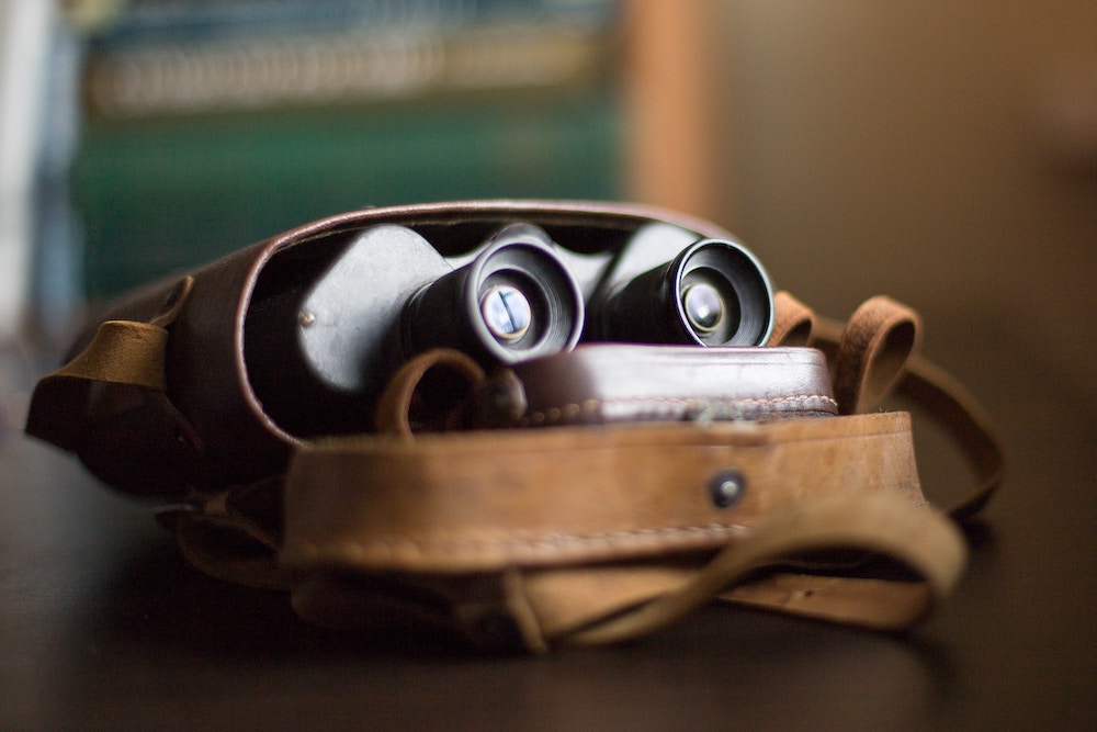 A set of binoculars peeking out of a satchel