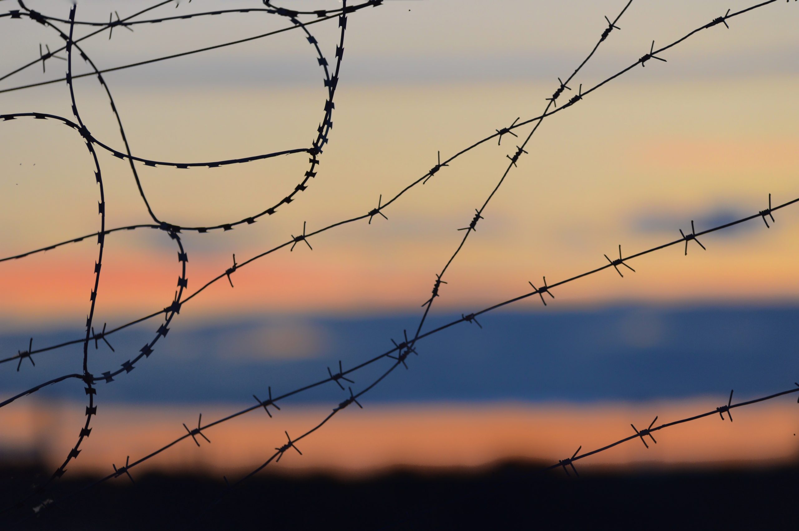 Barbed wire against a sunset