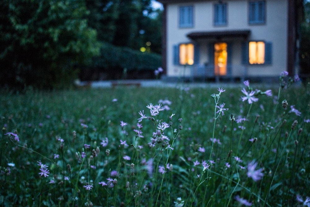 Garden in front of house at dusk