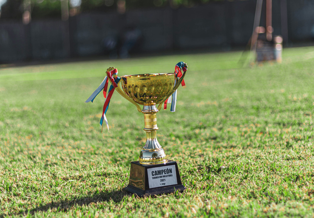 A trophy with ribbons sits on a grass field