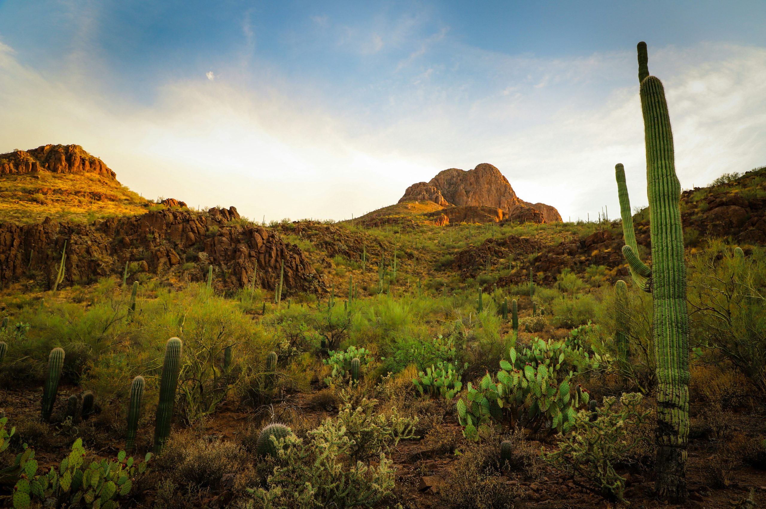 Sombrero Peak in Tucson, Arizona