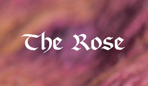 Exclusive Cover Reveal of “The Rose” by Ariana Reines