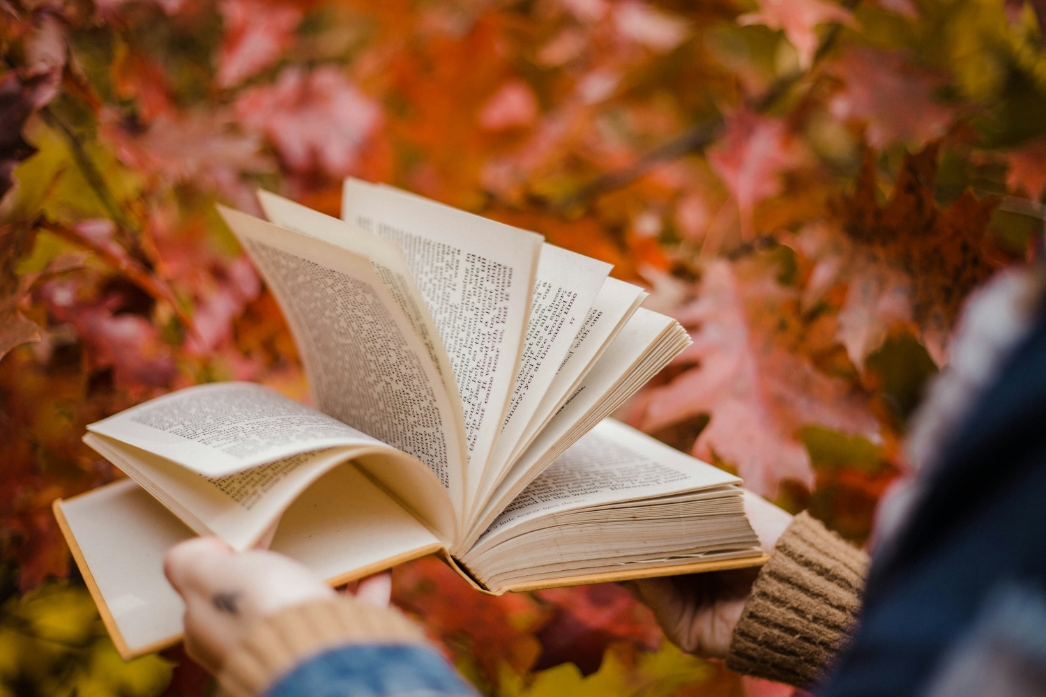 The Best Books of the Fall, According to Indie Booksellers